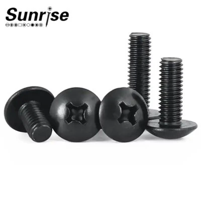 JIS Iswed Grad 4.8 8.8 Phillips Mushroom Truss Head Screw