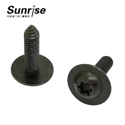 Pan Head Torx Socket Machine Tapping Automotive Invita
