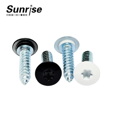 Torx   Pan   Ras   Self   Tapping   Kamin